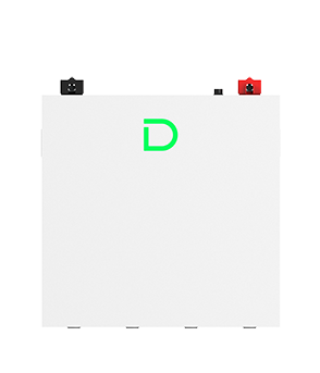 DL5.0C Pro